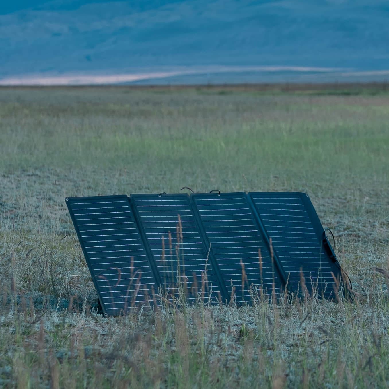 EcoFlow 160W Portable Solar Panel - Escape Urban Life